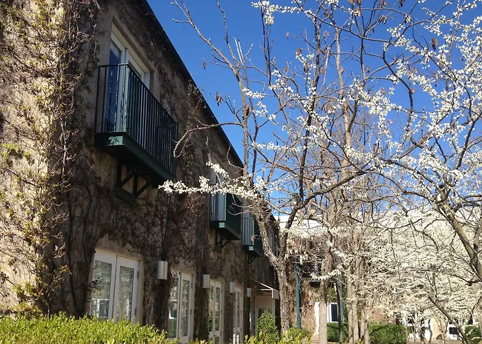 Southbridge Napa Valley