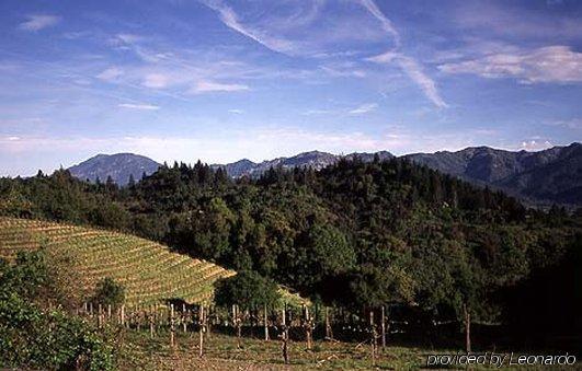 Southbridge Napa Valley Hotel St. Helena